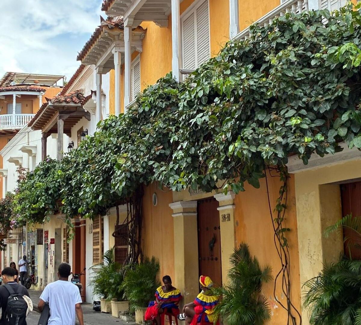 Trevi Seren Great Price For Hospital And Andes * Cartagena